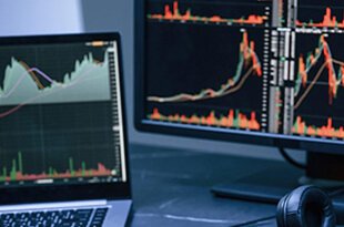 careerinvestments.in