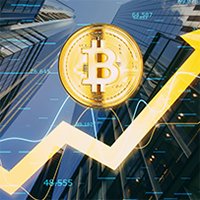 careerinvestments.in